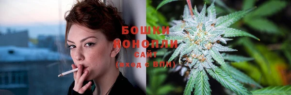 твердый Нягань