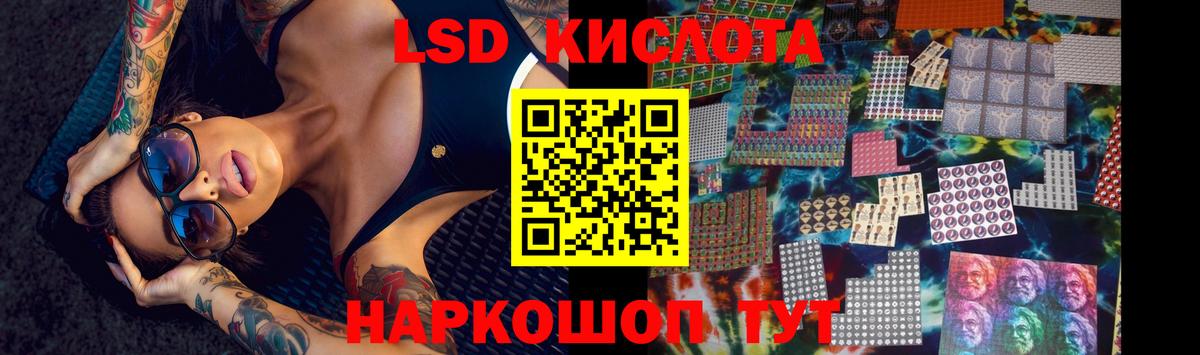 Галлюциногенные грибы Советский