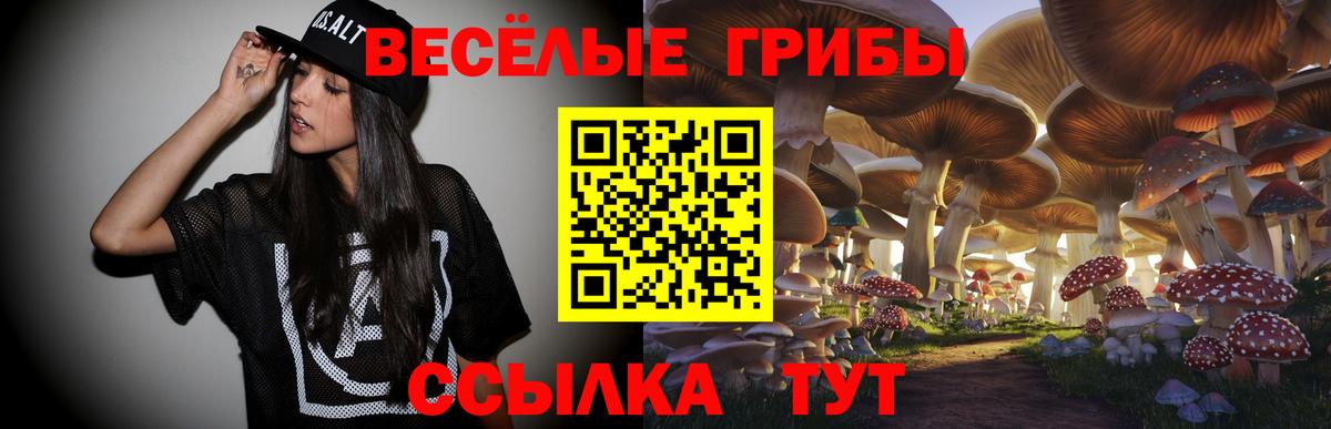 Советский  Псилоцибиновые грибы GOLDEN TEACHER  Вход с VPN 